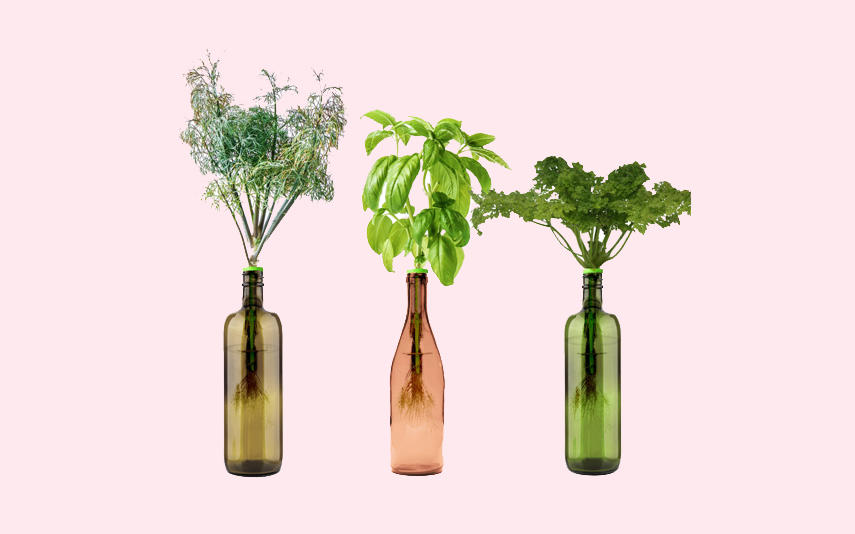 Home-gardening kits from Urban Leaf