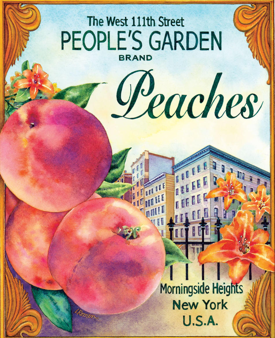 Illustration of an old-fashioned sign for peaches grown in Morningside Heights, by Irena Roman