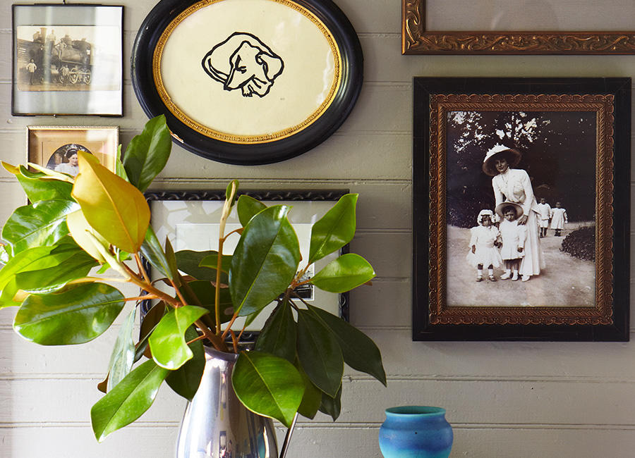 A plant against a wall with mementos