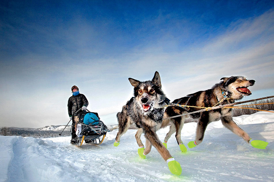 A sled-dog team competing in the Yukon quest, photographed by Katie Orlinsky