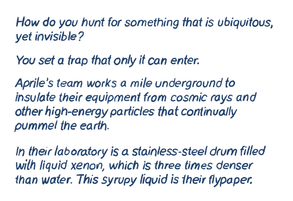 How do you hunt for something that is ubiquitous yet invisible?  You set a trap that only it can enter.  Aprile’s team works a mile underground to insulate their equipment from cosmic rays and other high-energy particles that continually pummel the earth.  In their laboratory is a stainless-steel drum filled with liquid xenon, which is three times denser than water. This syrupy liquid is their flypaper.