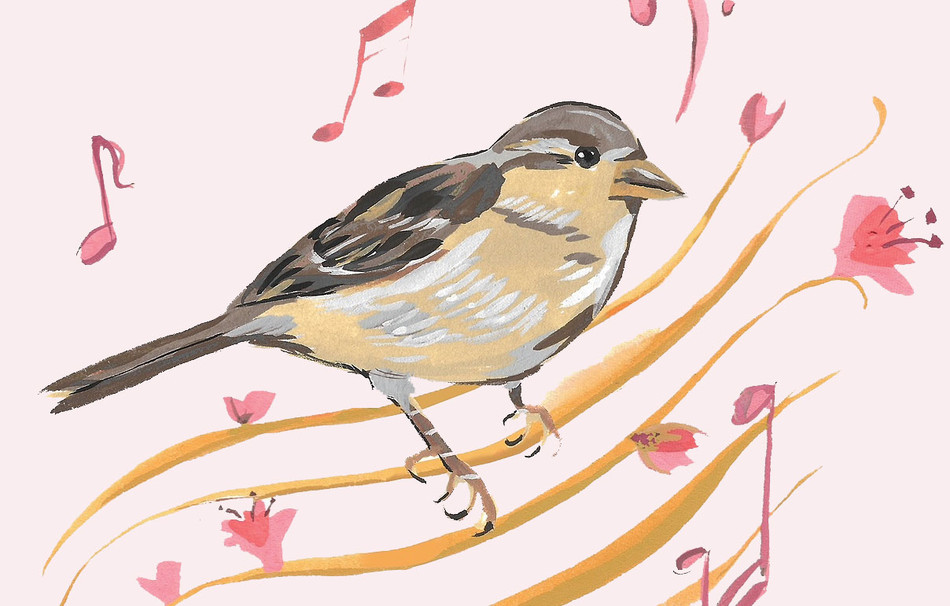 Illustration by Jenny Kroik of a little sparrow