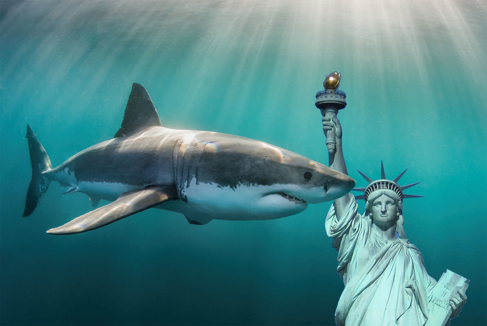 A great white shark and the statue of liberty