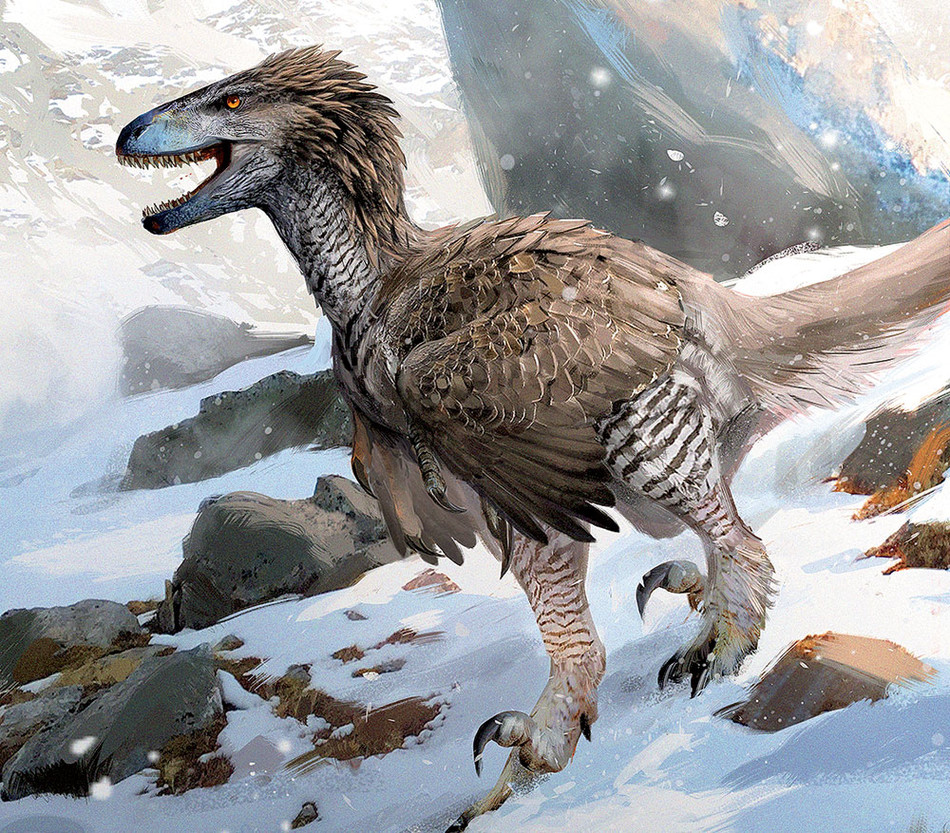 Illustration of a dinosaur with feathers