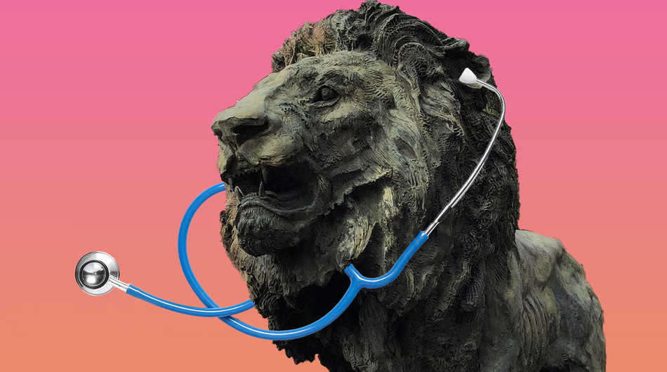 Columbia Lion with stethoscope