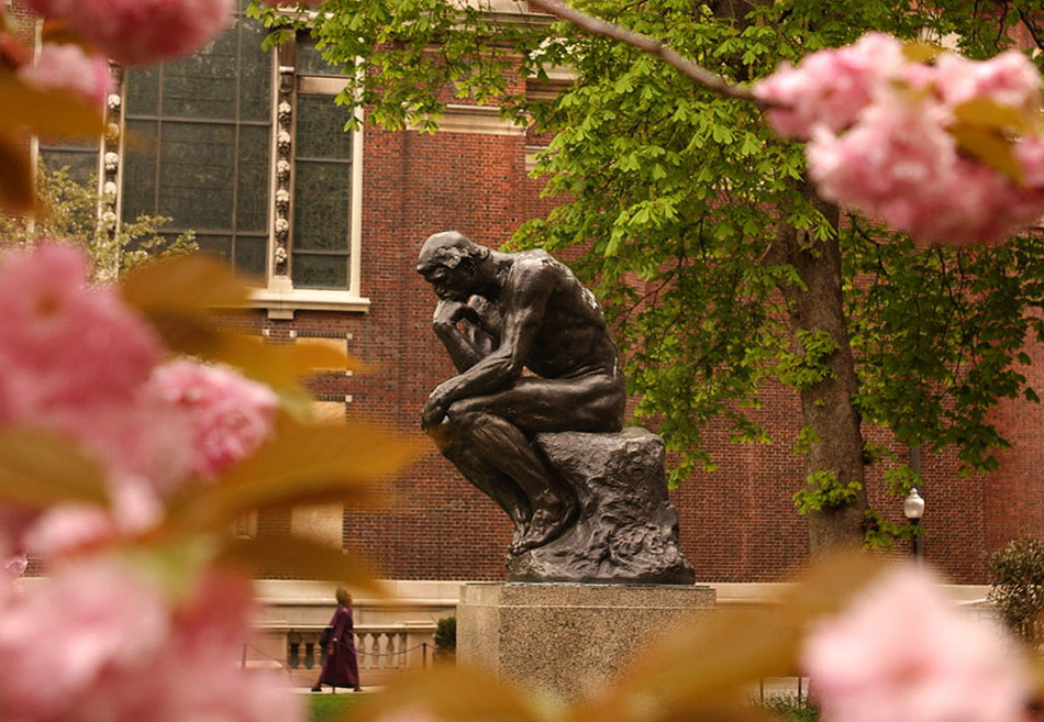 Columbia University Thinker statue surrounded by cherry blossoms