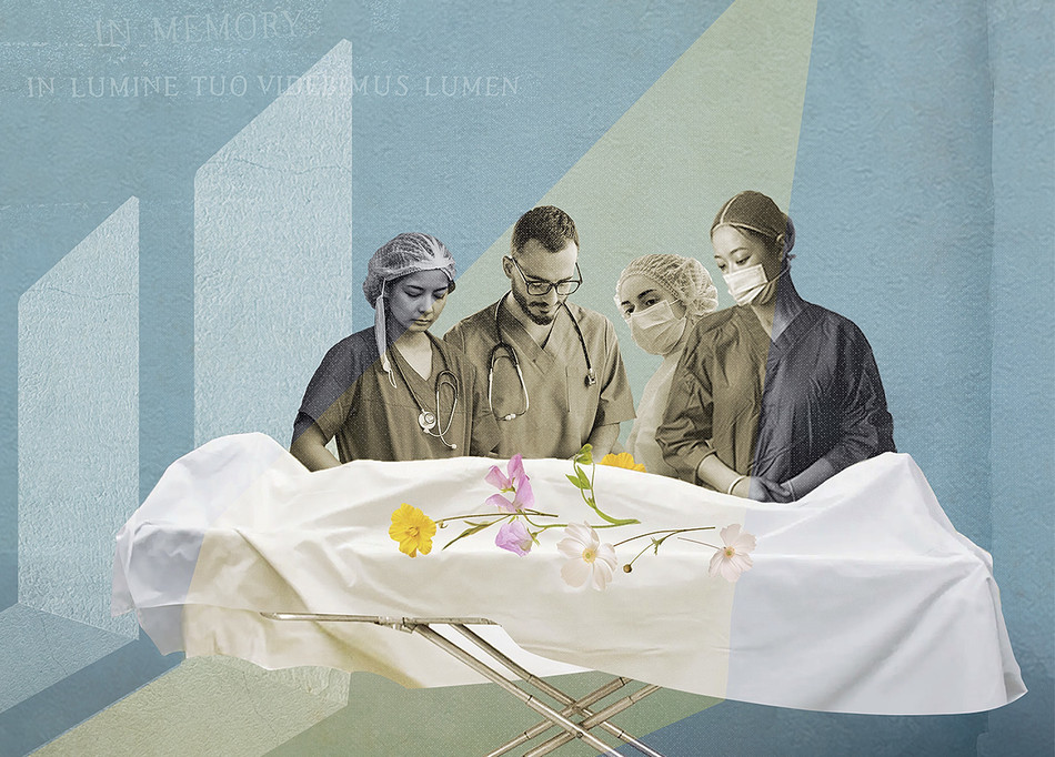 Illustration by Dana Smith of medical students dissecting a human body