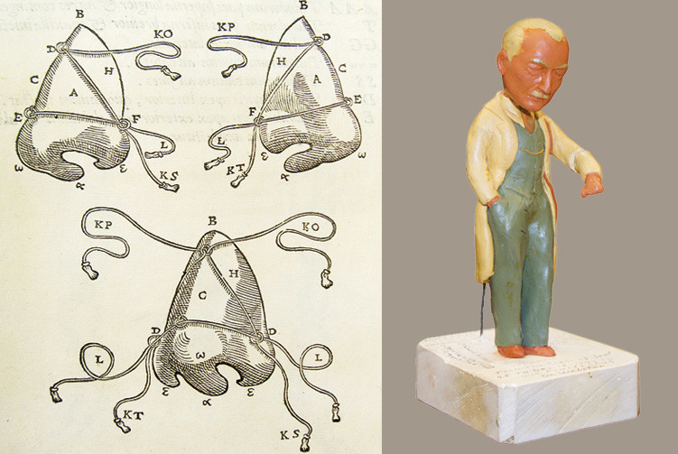Illustrations of a nose skin graft from Gaspare Tagliacozzi’s sixteenth-century treatise on plastic surgery, and a sculpture of Jerome P. Webster crafted by members of the Columbia Class of 1943