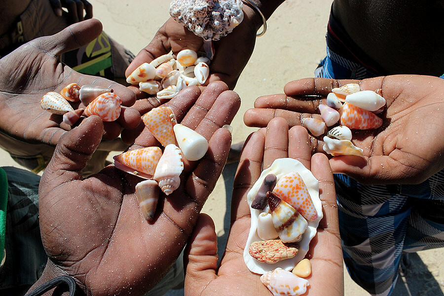 People holding seashells in Madagascar