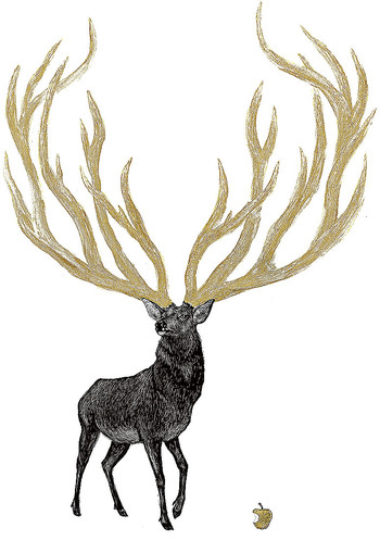 Illustration of a deer by Bri Hermanson