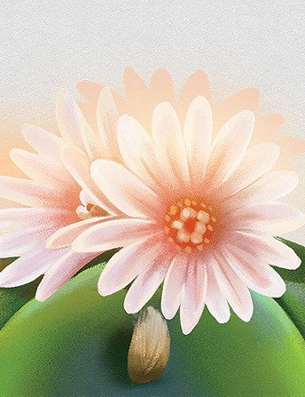 Illustration of a peyote flower by Deena So'Oteh