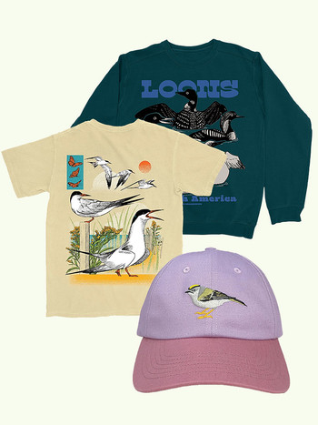 Apparel from Bird Collective