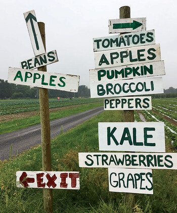 Signs with vegetable names